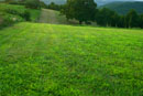 View Gallery