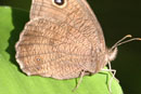 Image 1-5