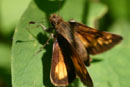 Image 1-9